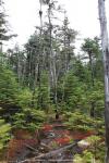 Cannon Mountain, New Hampshire, USA