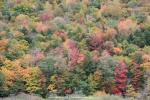 auf dem Appalachian Trail, Vermont, USA