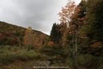 auf dem Appalachian Trail, Vermont, USA