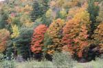 auf dem Appalachian Trail, Vermont, USA