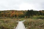 auf dem Appalachian Trail, Vermont, USA