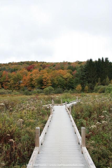 auf dem Appalachian Trail, Vermont, USA