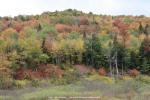 auf dem Appalachian Trail, Vermont, USA