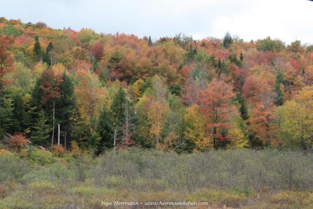 auf dem Appalachian Trail, Vermont, USA