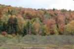 auf dem Appalachian Trail, Vermont, USA