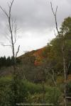 auf dem Appalachian Trail, Vermont, USA