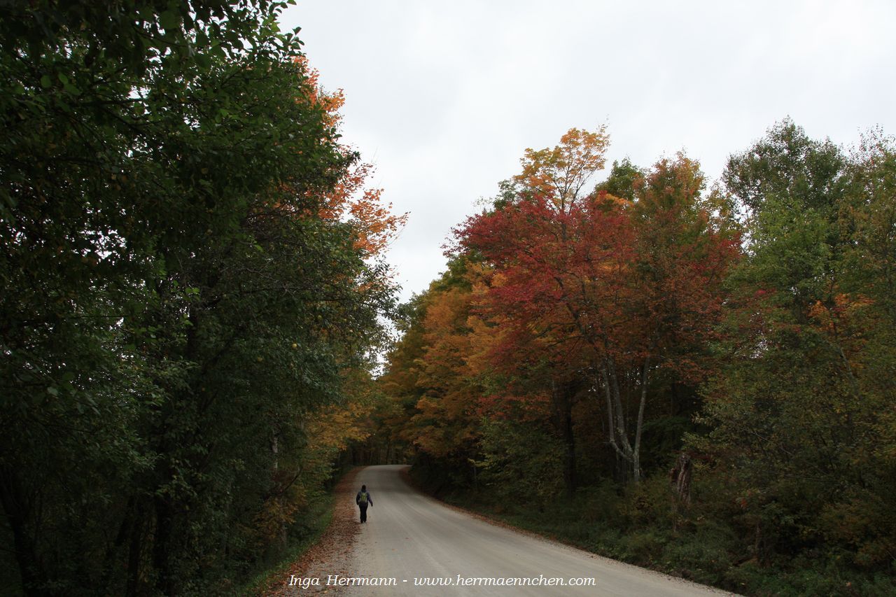 auf dem Appalachian Trail, Vermont, USA