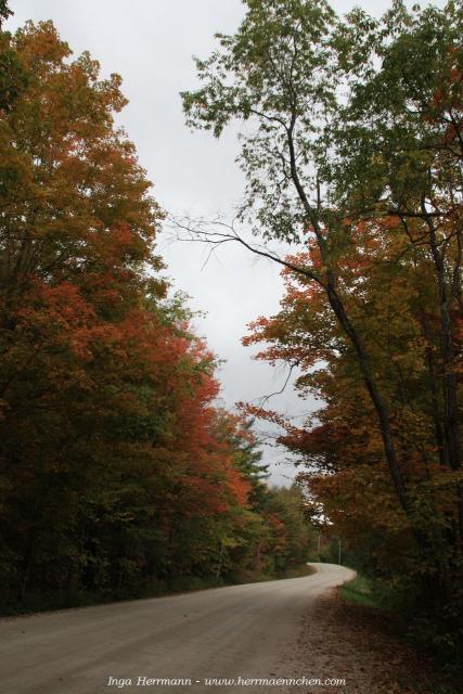 auf dem Appalachian Trail, Vermont, USA