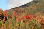 am White Face Mountain, New York State, USA