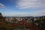 Blick vom Mont Royal auf Montréal, Kanada