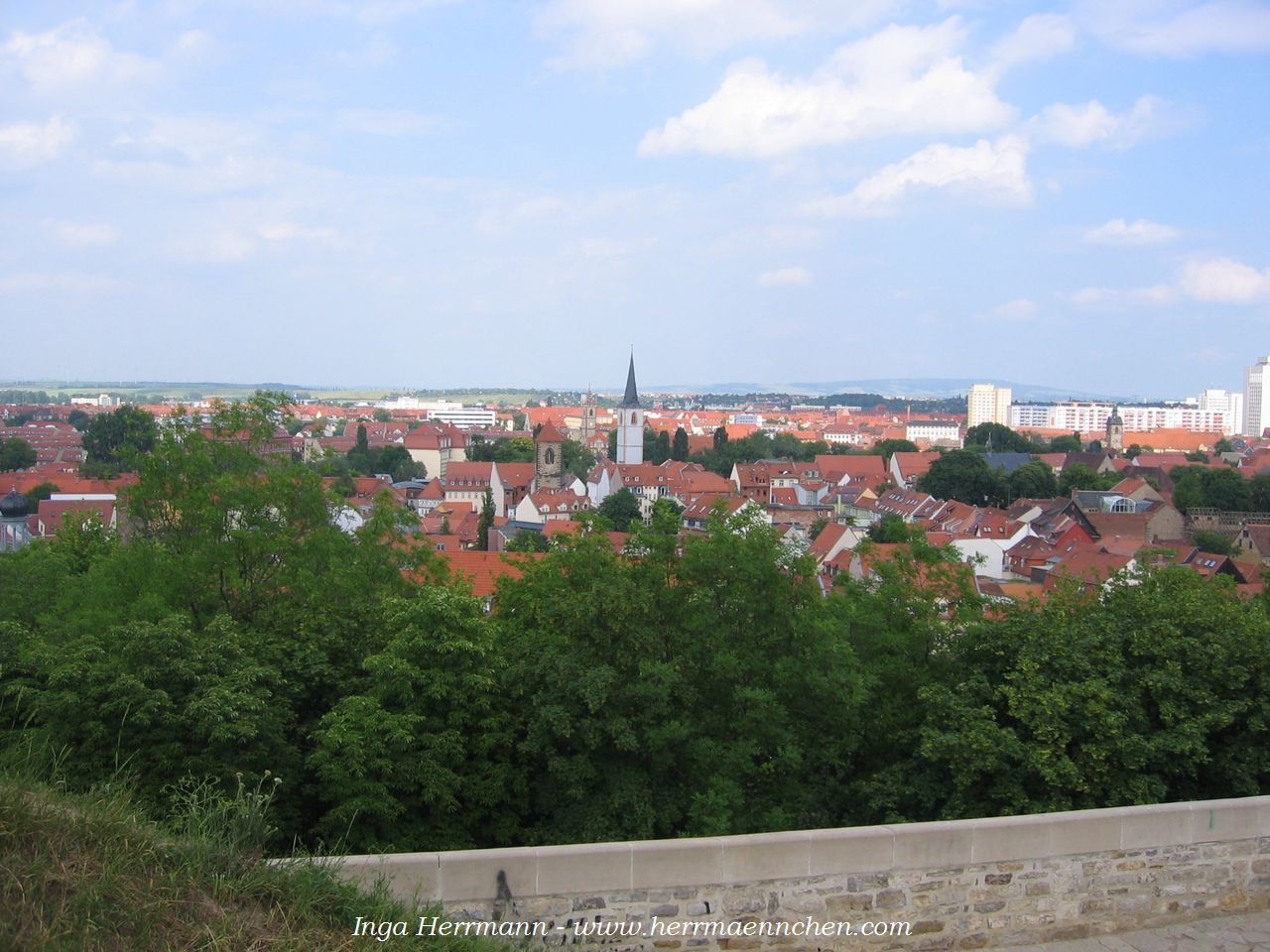 Blick über Erfurt