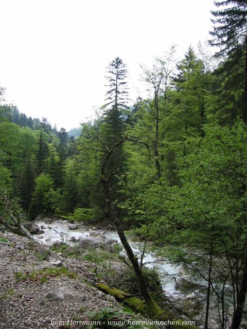 Wanderung zur Höllentalklamm