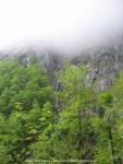 Nebel nahe der Höllentalklamm