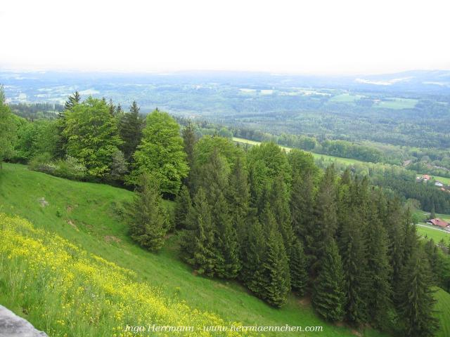 Blick vom Peißenberg