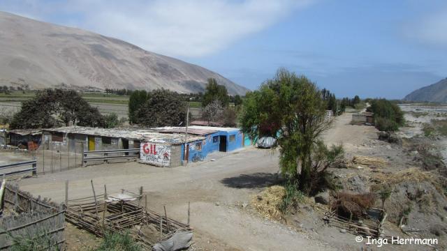 Peru