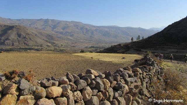 Colca Cañón, Peru