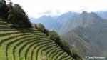 Wiñaywayna, inka Trail, Peru