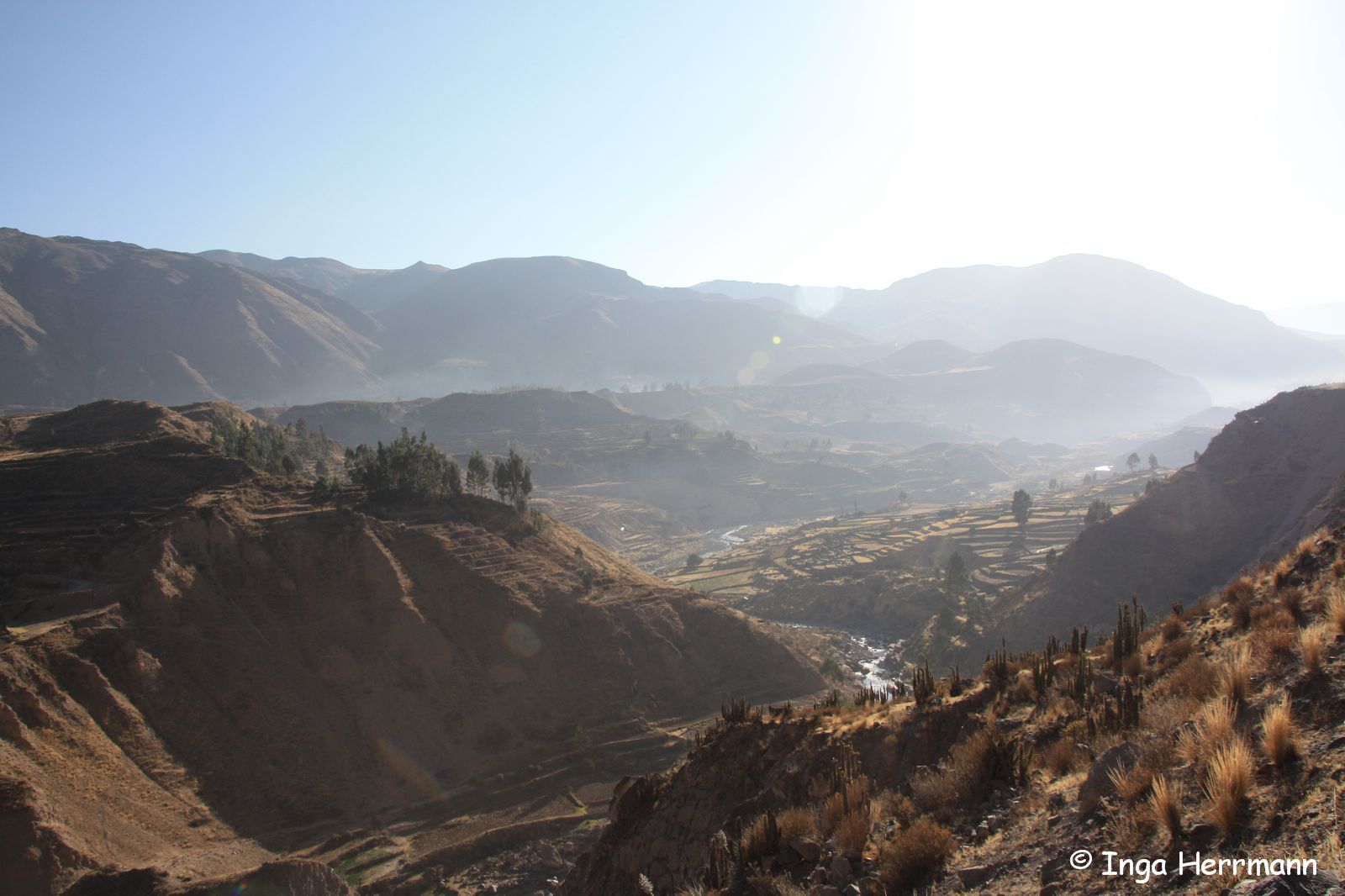 Colca Cañón, Peru