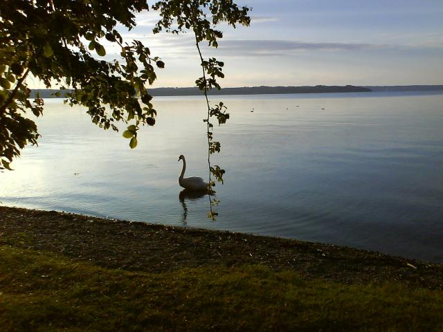 Abendstimmung am Starnberger See