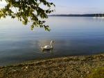 Abendstimmung am Starnberger See