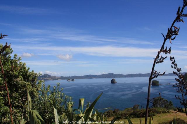 Wanderung zur Cathedral Cove, Neuseeland - Nordinsel