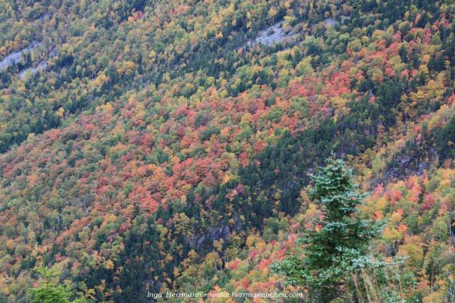 Blick vom Willard Mountain, New Hampshire, USA