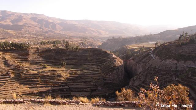 Colca Cañón, Peru